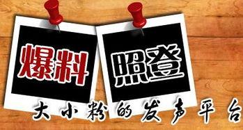 重庆实事爆料新闻最新情况,重大事件追踪，真相即将揭晓